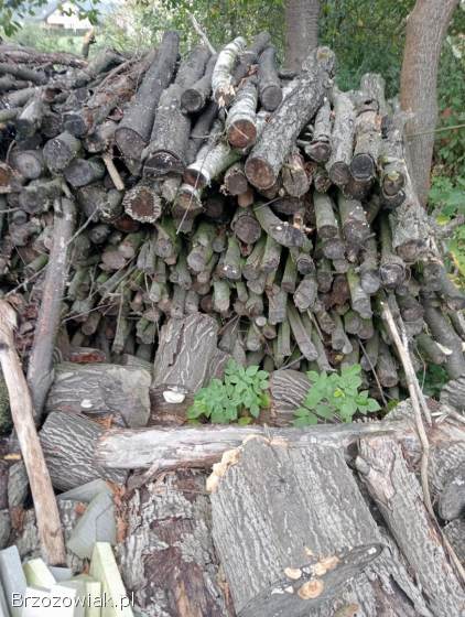 Drewno na opał