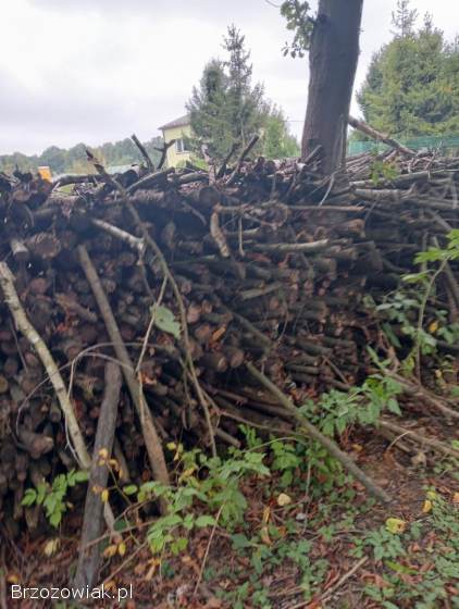 Drewno na opał