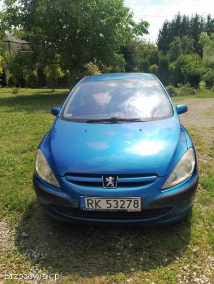 Peugeot 307 Kat 2001