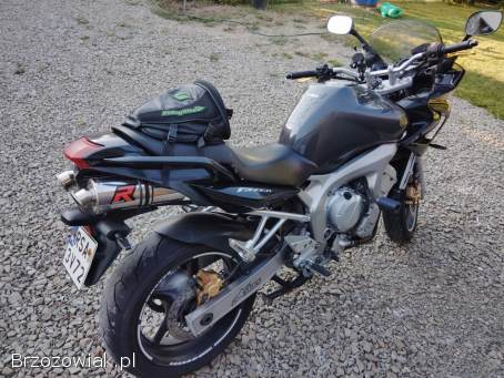 Yamaha FZS 600 2005