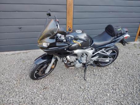 Yamaha FZS 600 2005