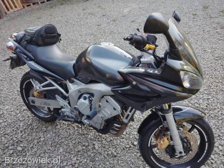 Yamaha FZS 600 2005