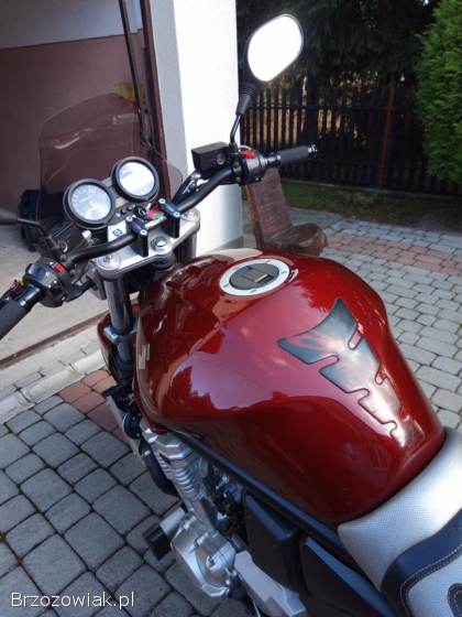 Suzuki Bandit GSF 650S 2007