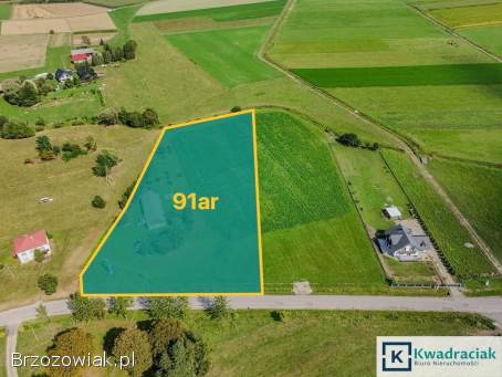 Dom + działka 91 ar z potencjałem podziału na działki budowlane