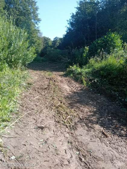 Działka budowlana 64 arowa w Niebocku cena za ar 4800