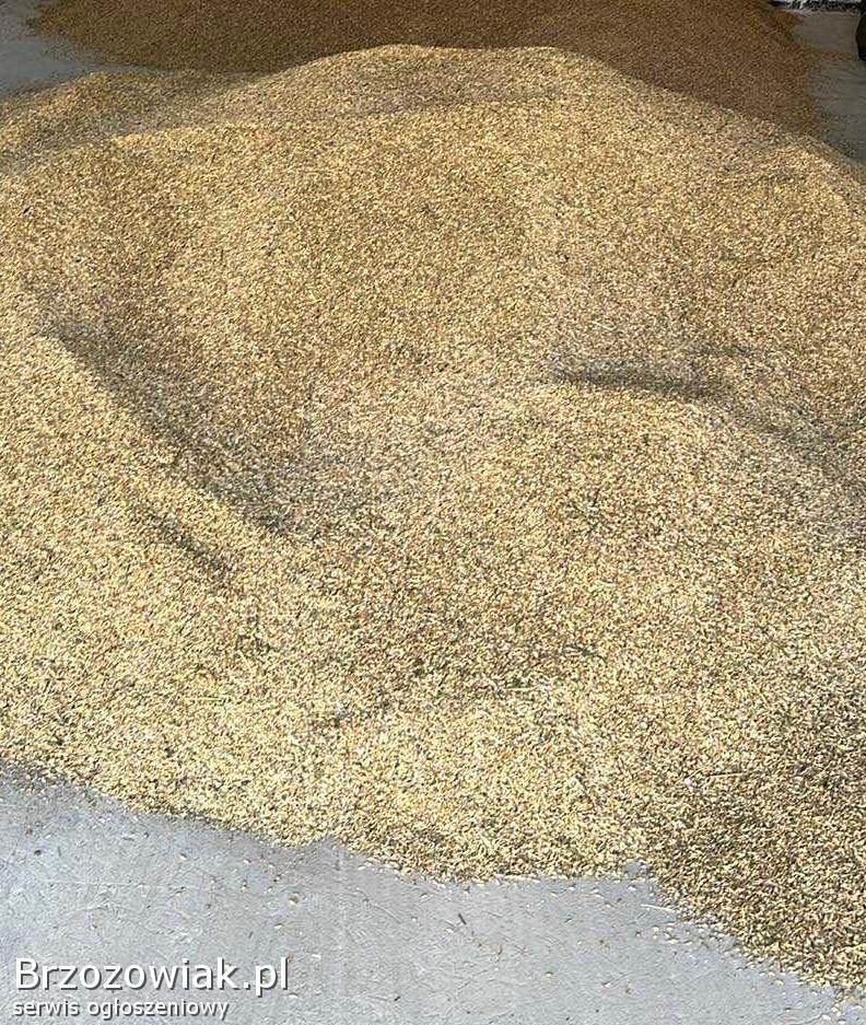 Sprzedam jęczmień,  owies.