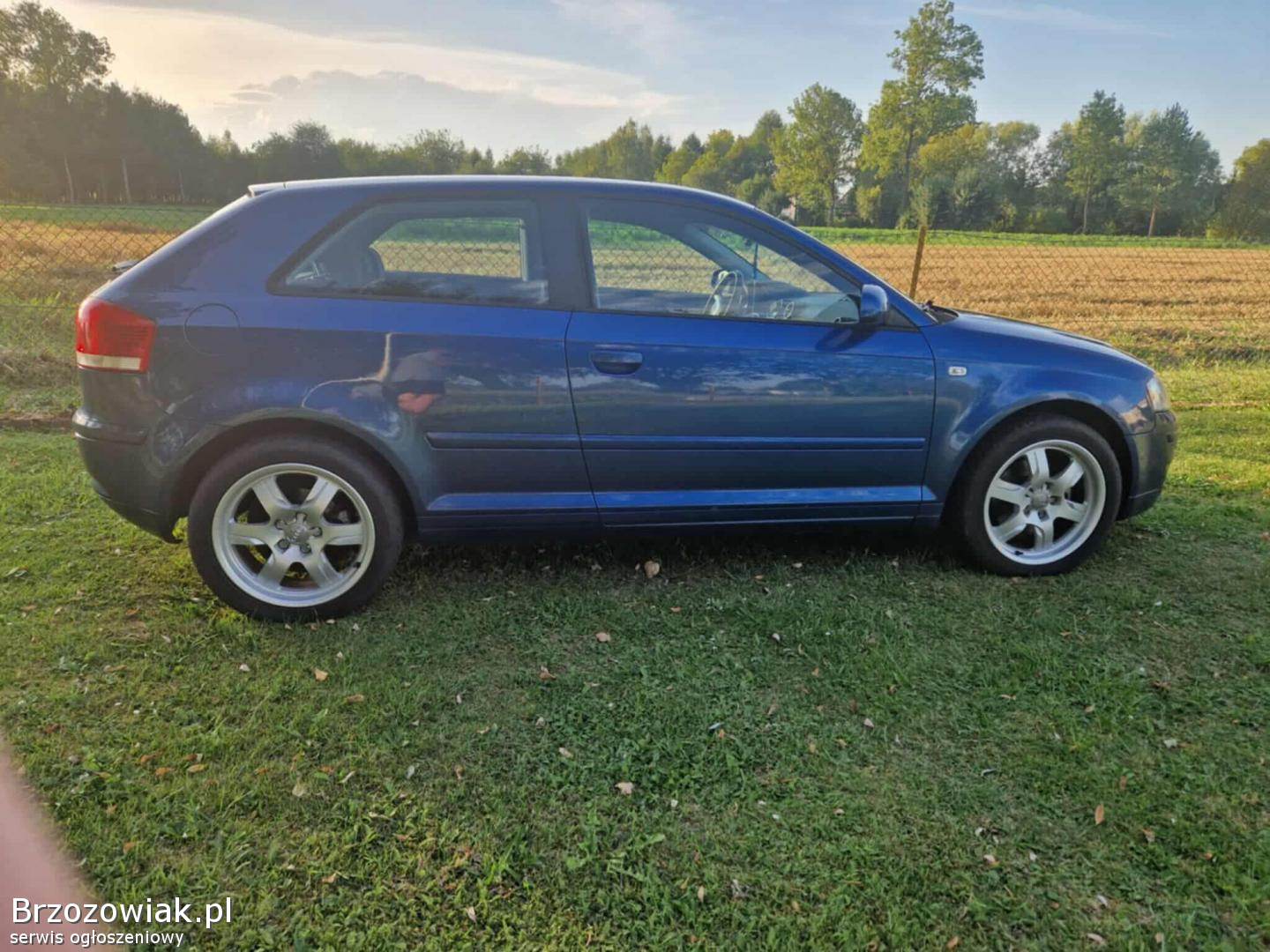 Audi A3 8P 2006