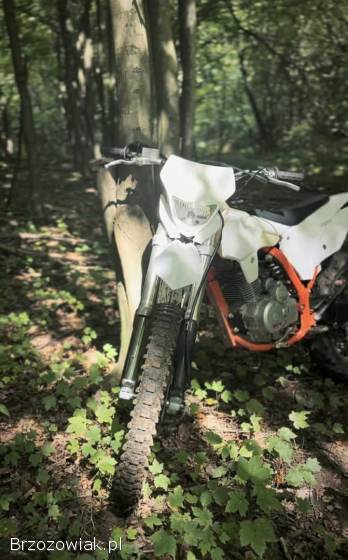 Barton Kayo k2 250 2022