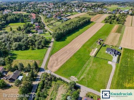 Dębowiec – duża działka z warunkami zabudowy