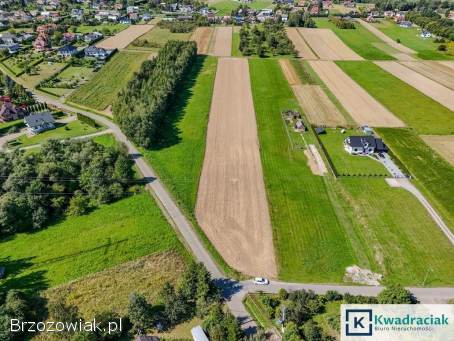 Dębowiec – duża działka z warunkami zabudowy