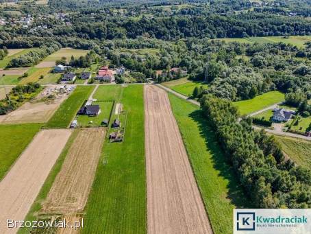 Dębowiec – duża działka z warunkami zabudowy