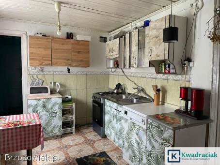 Dom drewniany 60 m2 w centrum Nowego Żmigrodu