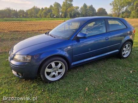 Audi A3 8P 2006