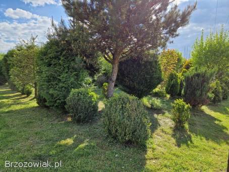 Sprzedam działkę rodo 3 ary dwa domki