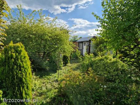 Sprzedam działkę rodo 3 ary dwa domki