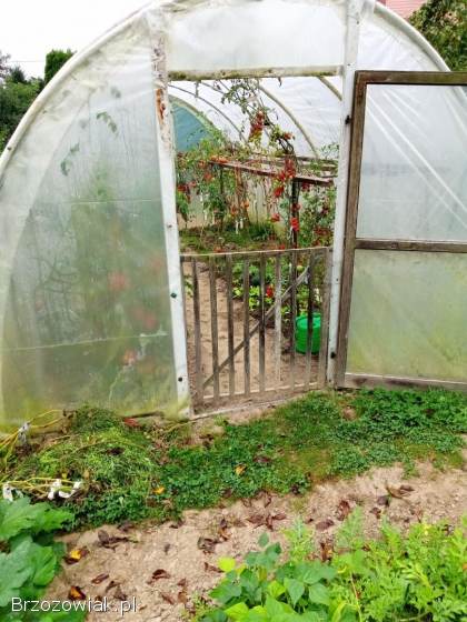 Tunel foliowy,  szklarnia,  folia 6x3 m