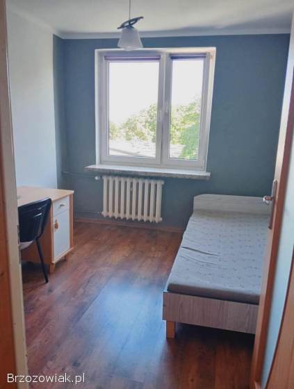 Wynajem mieszkanie 4 pokoje