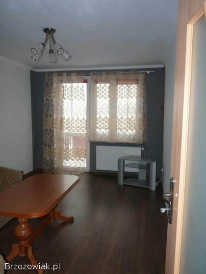 Wynajem mieszkanie 4 pokoje