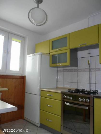 Wynajem mieszkanie 4 pokoje