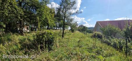 Działka w Strachocinie