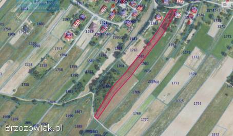 Działka w Strachocinie