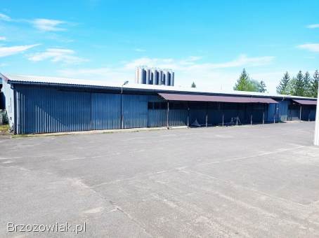 Magazyn do wynajęcia