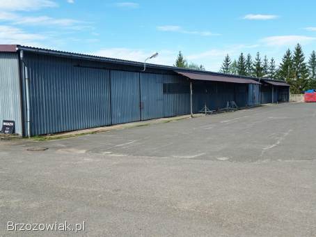 Magazyn do wynajęcia