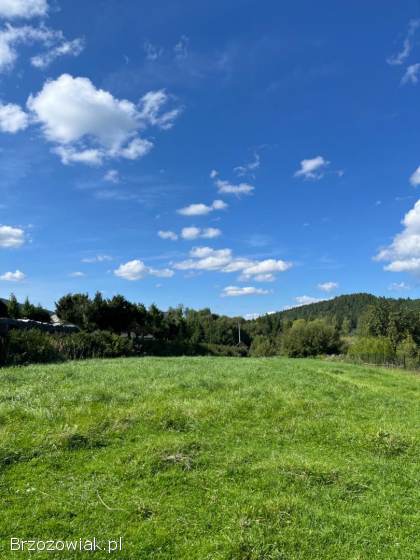 Cena do ustalenia!  Sprzedam piękna działkę,  Brzegi Dolne