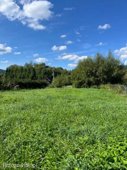 Cena do ustalenia!  Sprzedam piękna działkę,  Brzegi Dolne