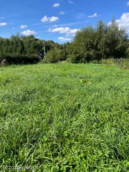 Cena do ustalenia!  Sprzedam piękna działkę,  Brzegi Dolne