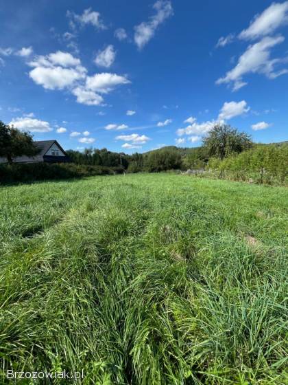 Cena do ustalenia!  Sprzedam piękna działkę,  Brzegi Dolne