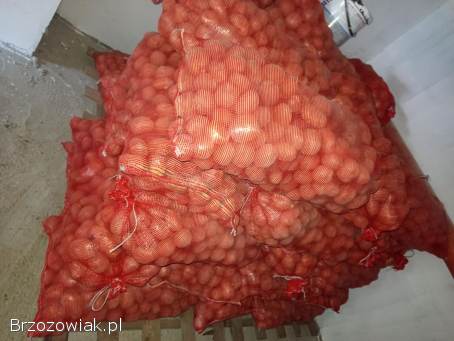 Ziemniaki jadalne bellaroza,  Jurki