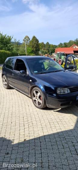 Volkswagen Golf 4 2001