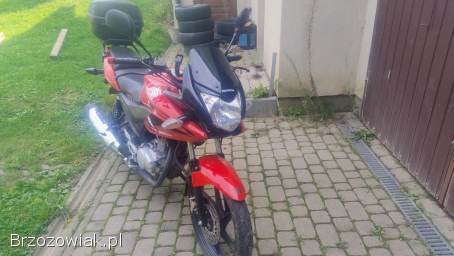Honda CBF 125 2009