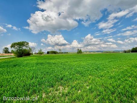 Sprzedam działkę w Bajdach (gmina Wojaszówka) -  cena do negocjacji