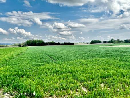 Sprzedam działkę w Bajdach (gmina Wojaszówka) -  cena do negocjacji