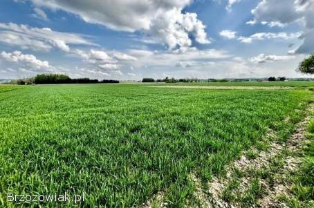 Sprzedam działkę w Bajdach (gmina Wojaszówka) -  cena do negocjacji