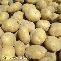 Sprzedam ziemniaki