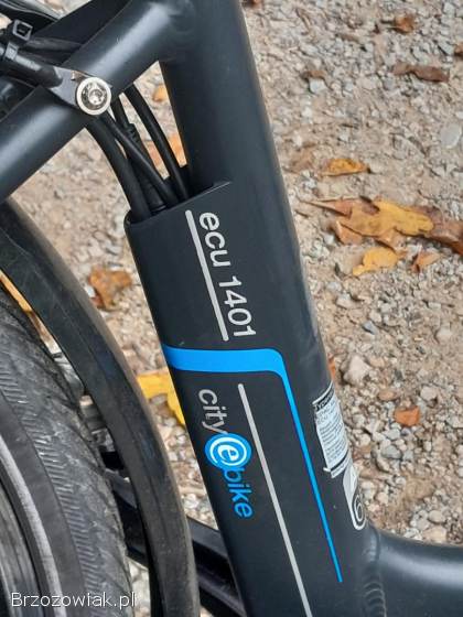 Dwa rowery elektryczne fischer