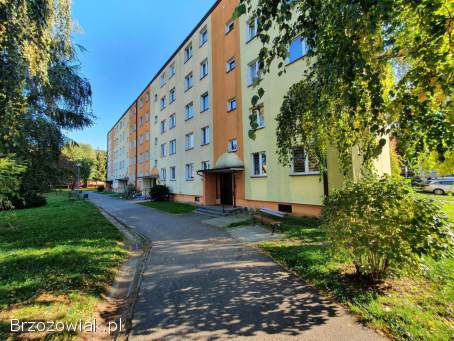 Mieszkanie 48m2 w Sanoku