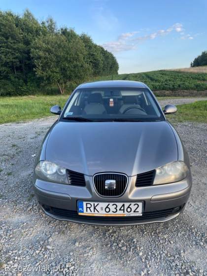 Seat Ibiza Stylance 2004