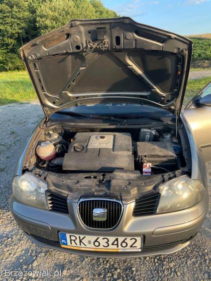 Seat Ibiza Stylance 2004