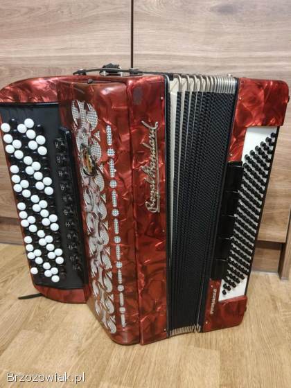 Akordeon guzikowy