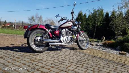 Yamaha Virago 125/250 1997