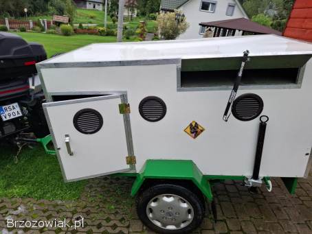 Przyczepka do przewozu psów