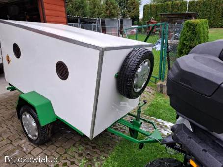 Przyczepka do przewozu psów