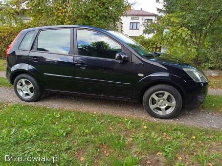 Ford Fiesta 2007