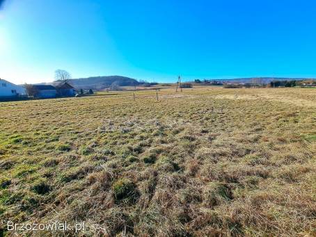 NOWA CENA Działka budowlana 21,  91 ar Srogów Górny