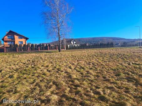 NOWA CENA Działka budowlana 21,  91 ar Srogów Górny