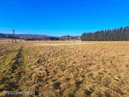 NOWA CENA Działka budowlana 21,  91 ar Srogów Górny